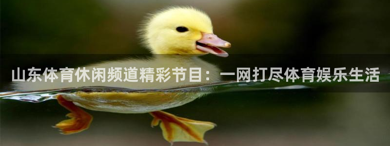 山东体育休闲频道精彩节目：一网打尽体育娱乐生活