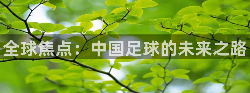 全球焦点：中国足球的未来之路
