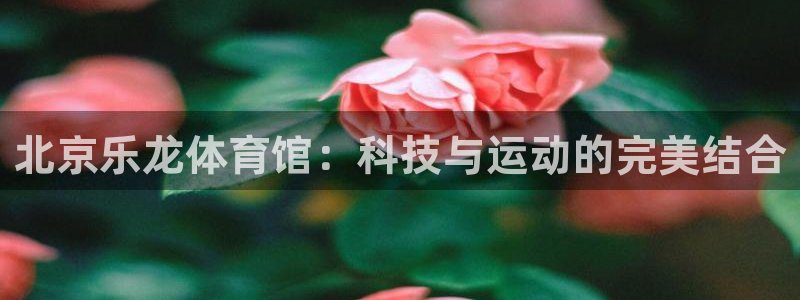 北京乐龙体育馆：科技与运动的完美结合