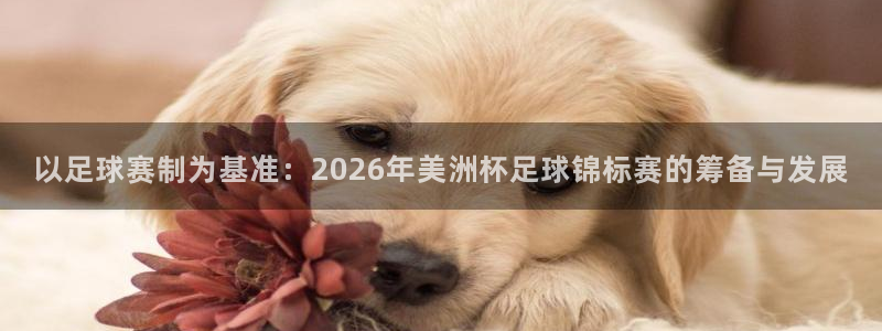 以足球赛制为基准：2026年美洲杯足球锦标赛的筹备与发展