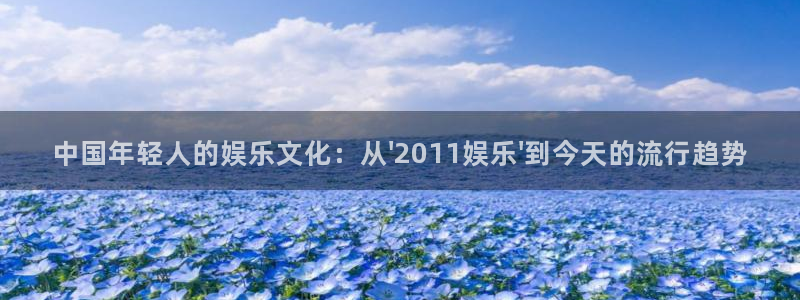中国年轻人的娱乐文化：从\'2011娱乐\'到今天的流行趋势