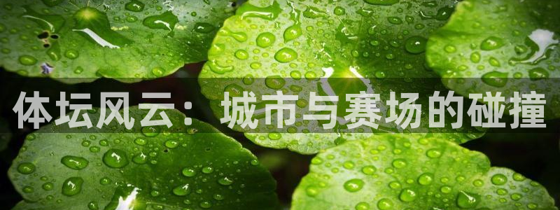 体坛风云：城市与赛场的碰撞
