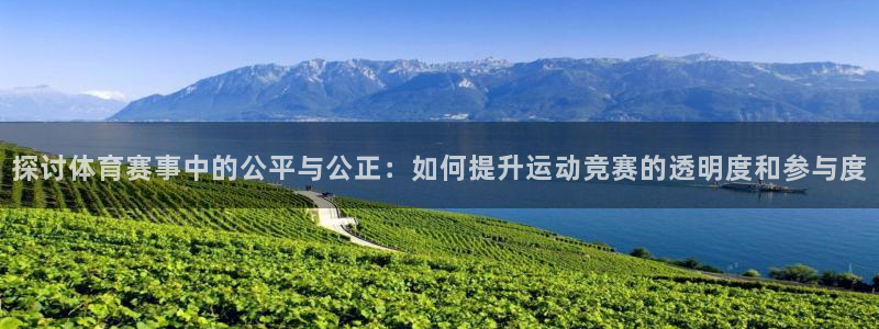 探讨体育赛事中的公平与公正：如何提升运动竞赛的透明度和参与度