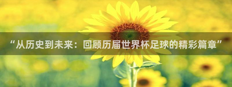 “从历史到未来：回顾历届世界杯足球的精彩篇章”