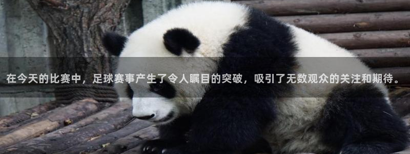 在今天的比赛中，足球赛事产生了令人瞩目的突破，吸引了无数观众的关注和期待。
