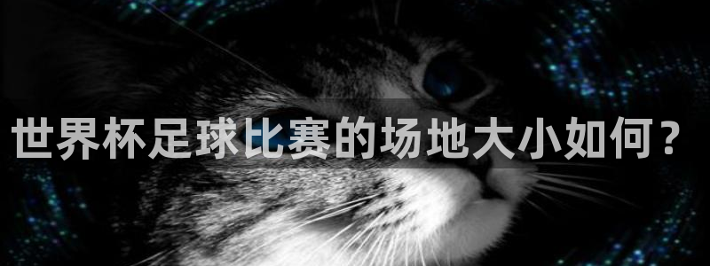 世界杯足球比赛的场地大小如何？