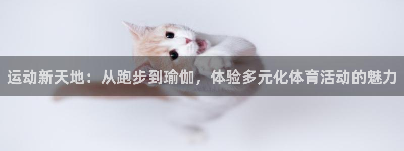 运动新天地：从跑步到瑜伽，体验多元化体育活动的魅力