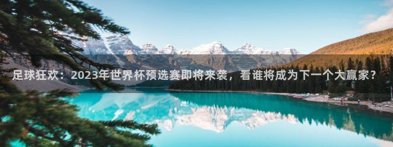 足球狂欢：2023年世界杯预选赛即将来袭，看谁将成为下一个大赢家？