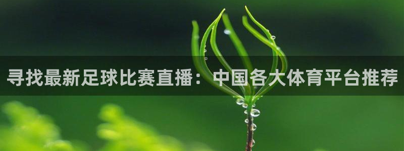 寻找最新足球比赛直播：中国各大体育平台推荐