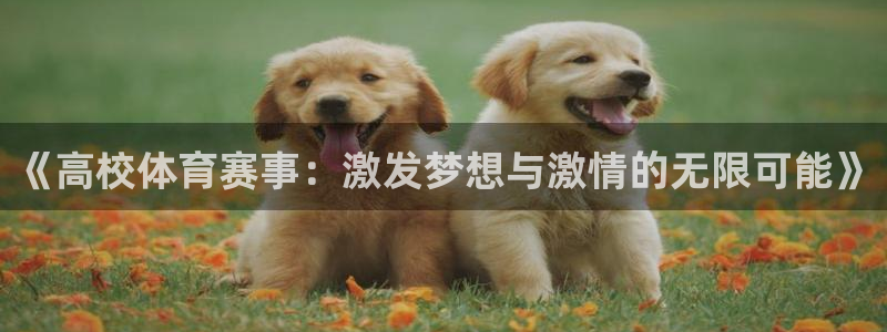 《高校体育赛事：激发梦想与激情的无限可能》
