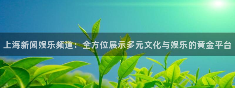 上海新闻娱乐频道：全方位展示多元文化与娱乐的黄金平台